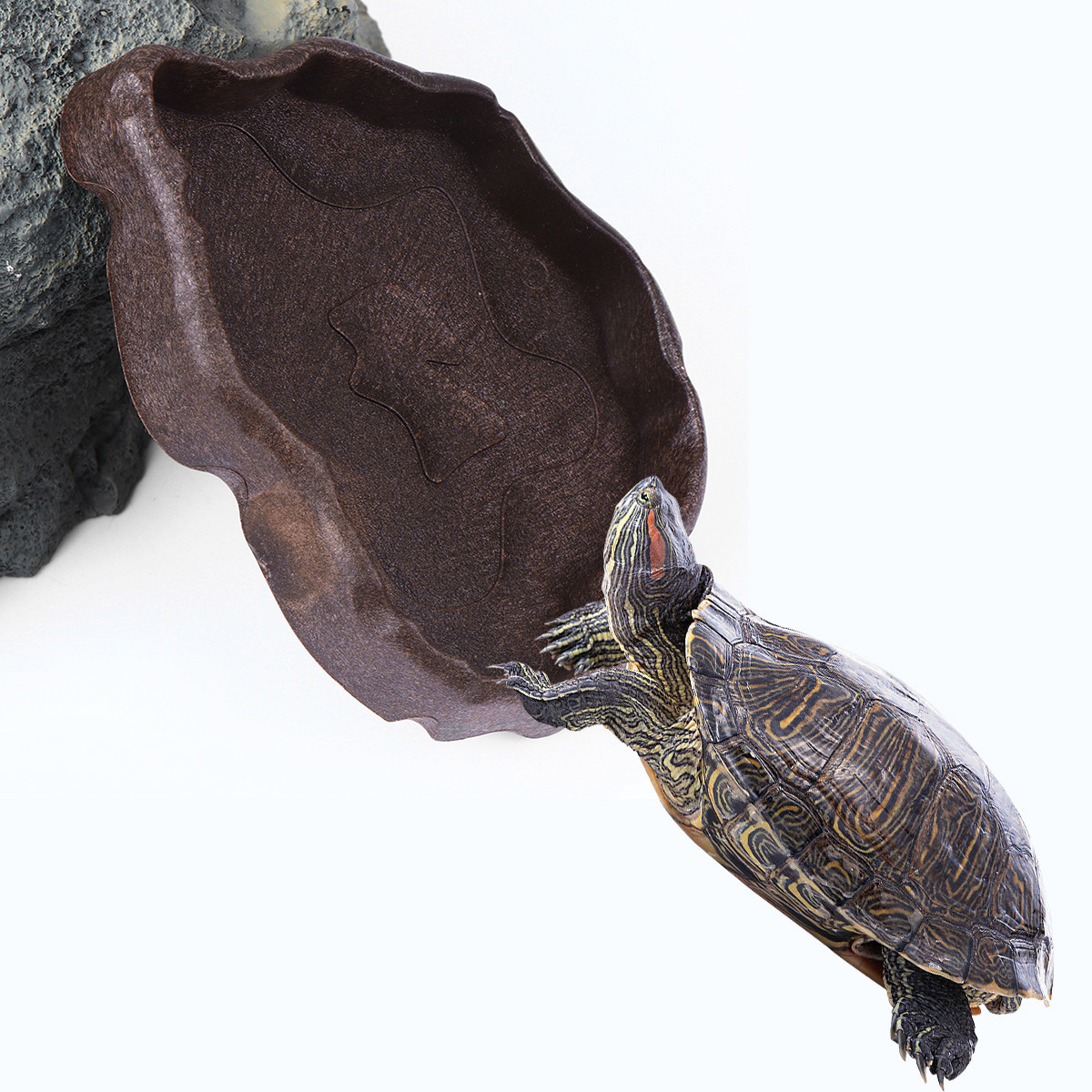 Water Dish Reptile - Reptile Resin Food Dish Coffee Size