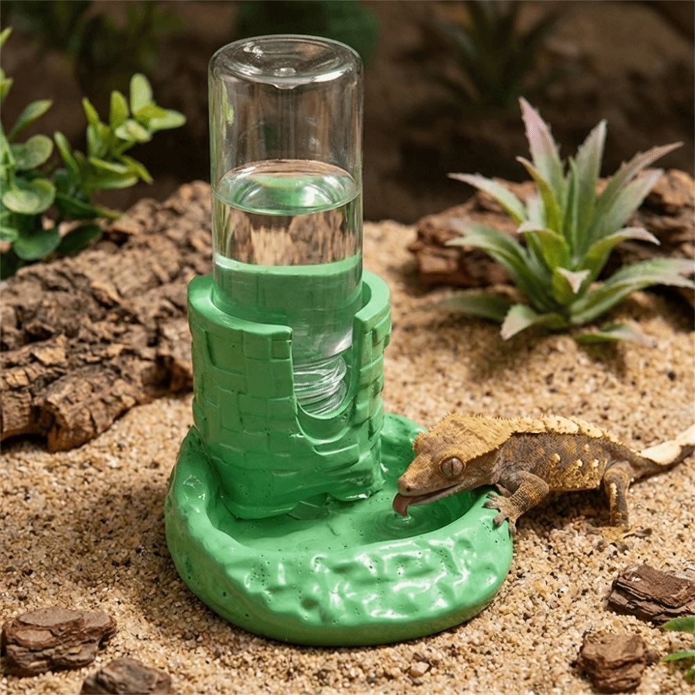 Water Dish Reptile - Plastic Reptiles Water Feeder Anti-slip Base