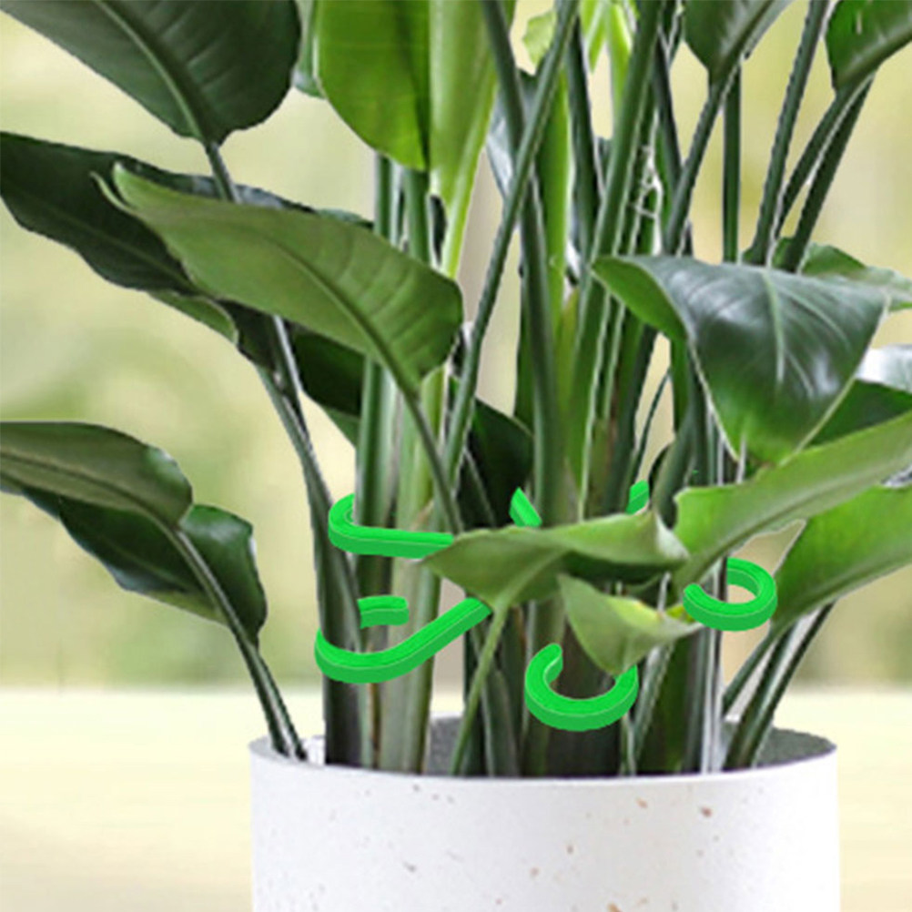 Vine Climbing Plastic - 12Pcs Plant Stem Holders Plastic Support