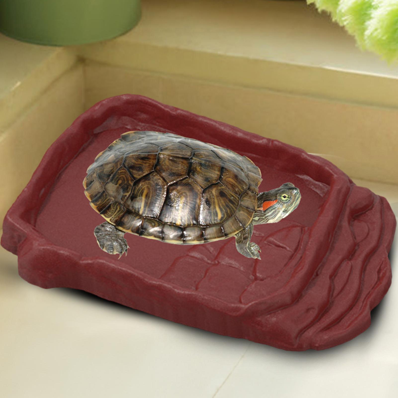 Water Dish Reptile - Anti-Slip Ladders Reptile Bowl Reptile Bathing