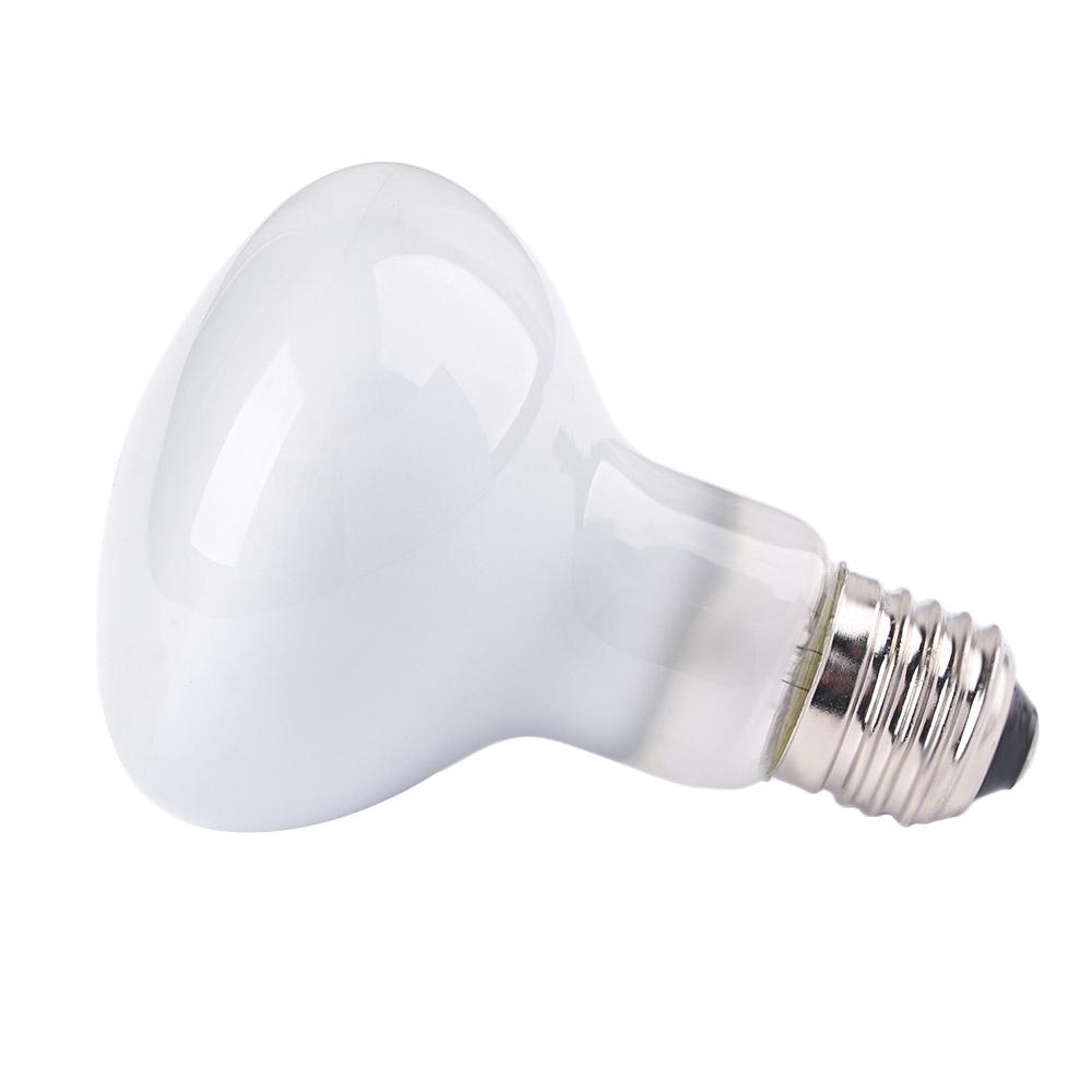 Lizard Heater Heat Lamp UVA Li - Basking Bulb Halogen ulasan dan harga