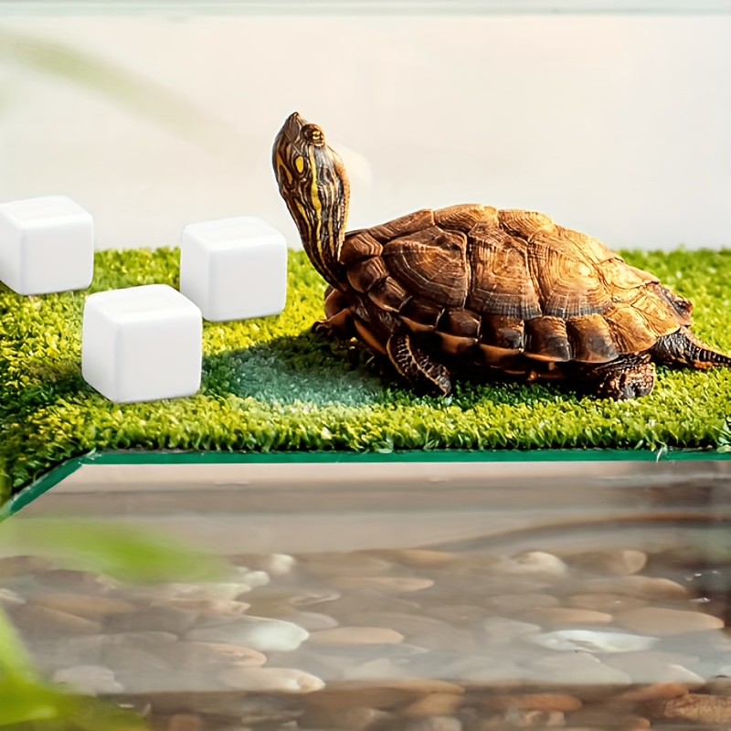 6Pcs For Reptile Grinding Tort - Calcium Powder Reptile ulasan dan harga