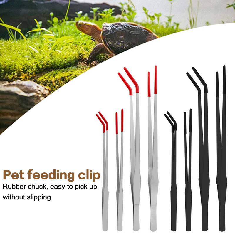 Expert Aquarium Tools: Stainle - Feeding Tong Stainless ulasan dan harga