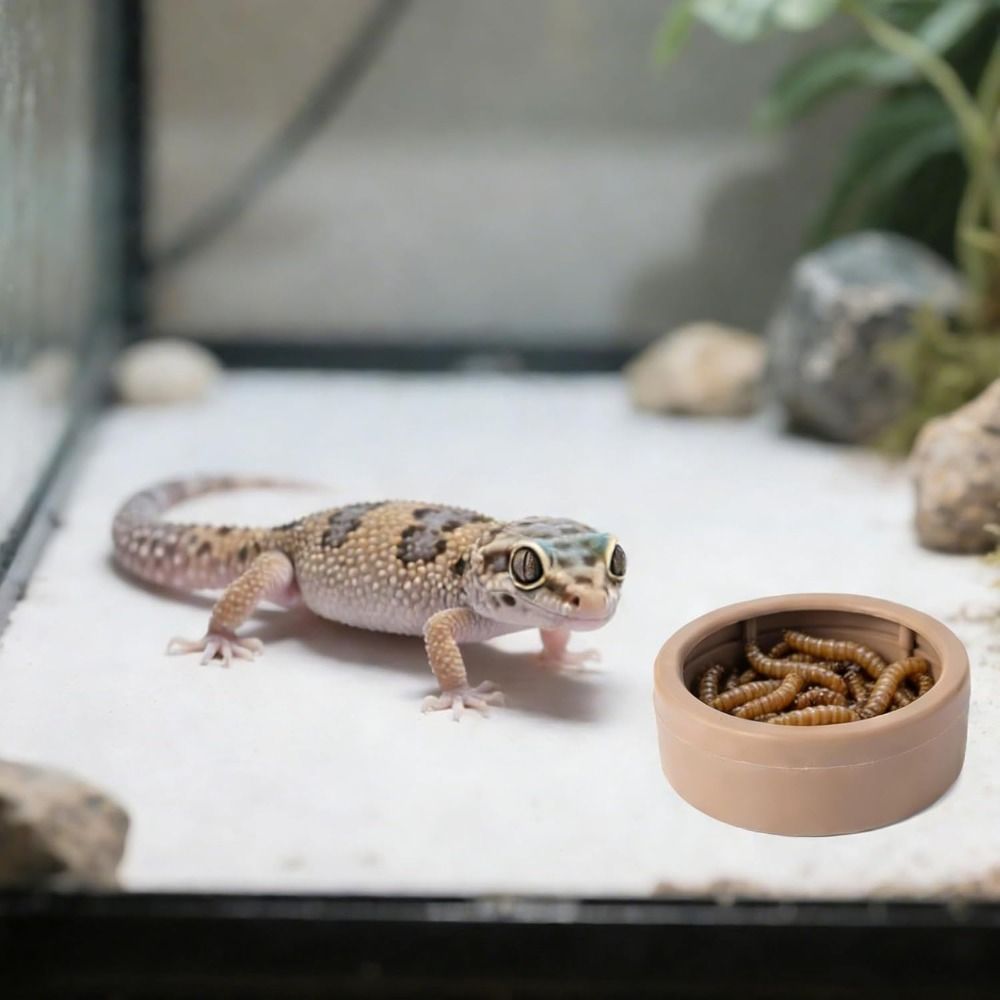 Portable Escape-Proof Reptile  - Water Dish Reptile ulasan dan harga
