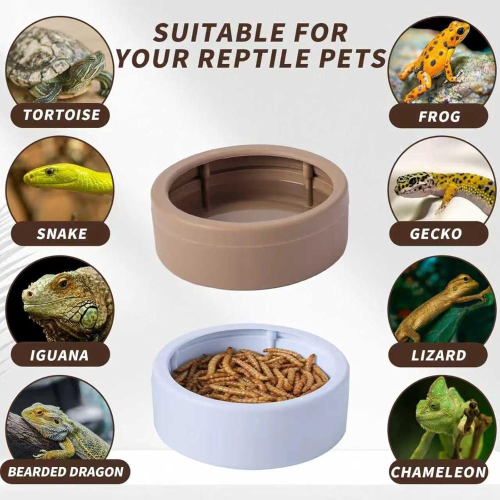 Portable Escape-Proof Reptile  - Water Dish Reptile ulasan dan harga