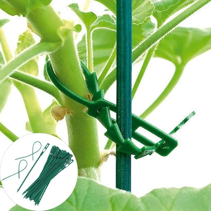 Wholesale Reusable Plant Fixed - Vine Climbing Plastic ulasan dan harga
