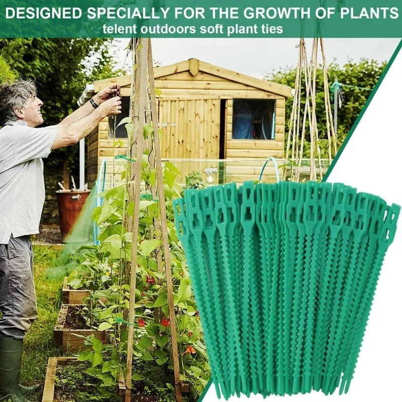 Wholesale Reusable Plant Fixed - Vine Climbing Plastic ulasan dan harga