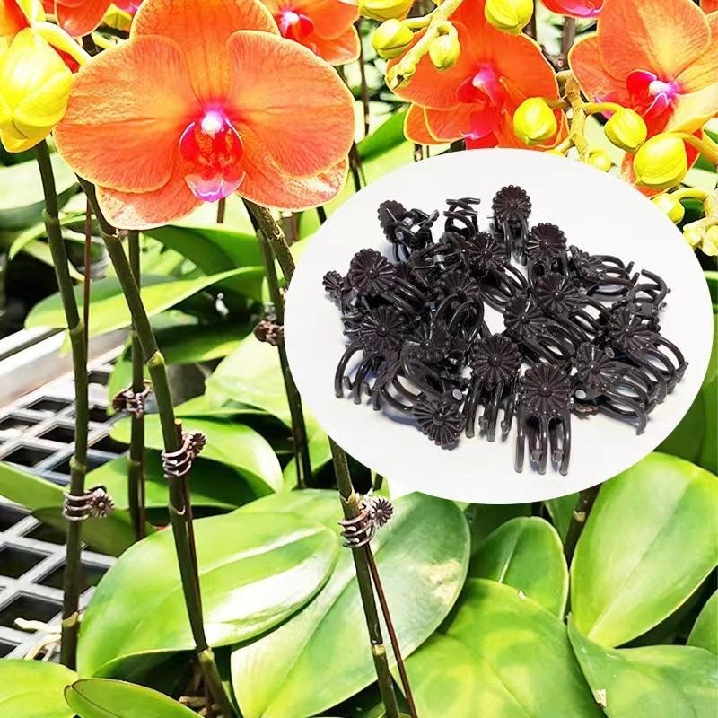 Wholesale Mini Plant Support C - Vine Climbing Plastic ulasan dan harga