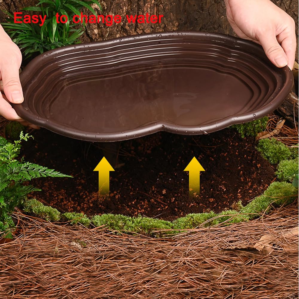 Reptile Bathing Dish Amphibian - Water Dish Reptile ulasan dan harga