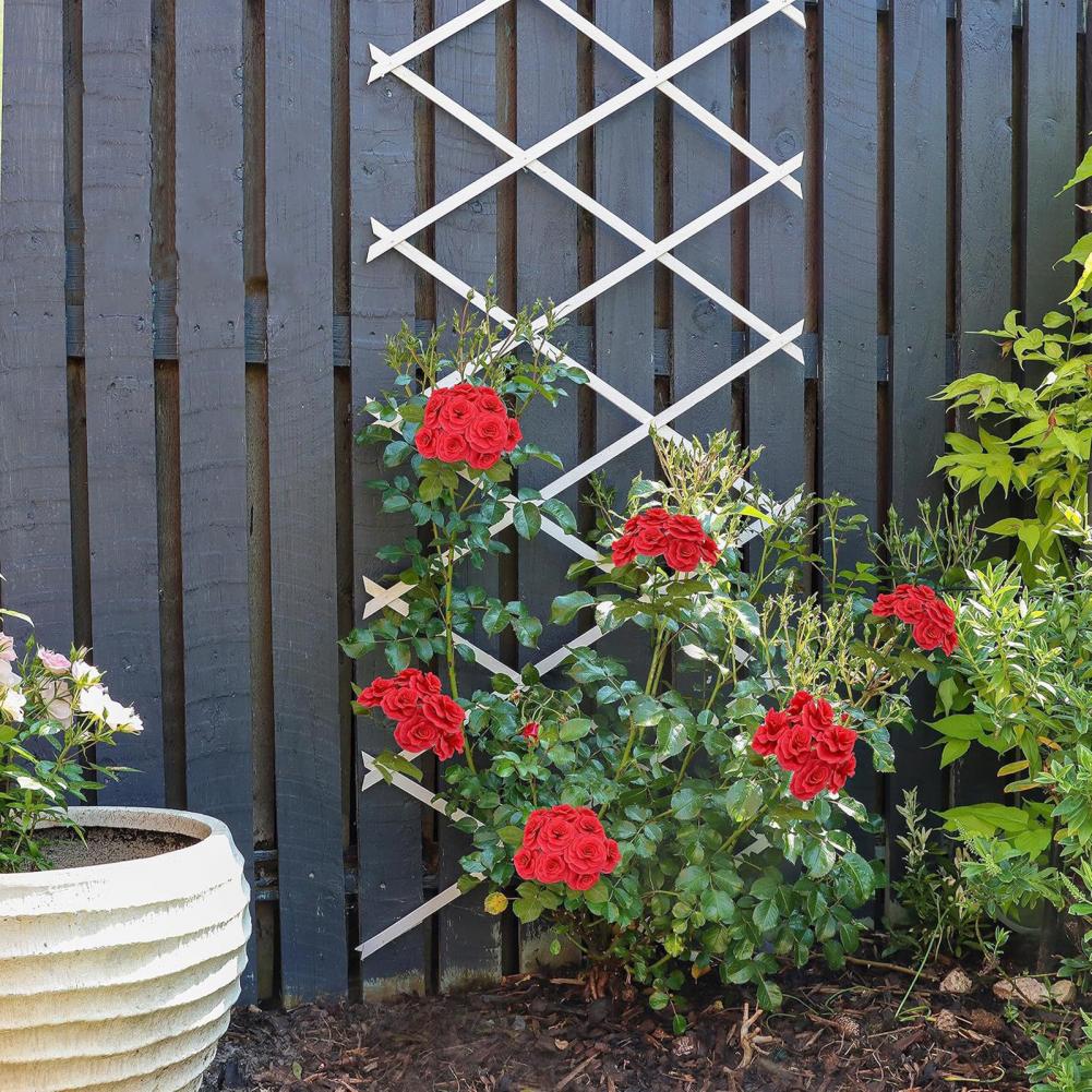 Expandable Garden Trellis 70 x - Vine Climbing Plastic ulasan dan harga