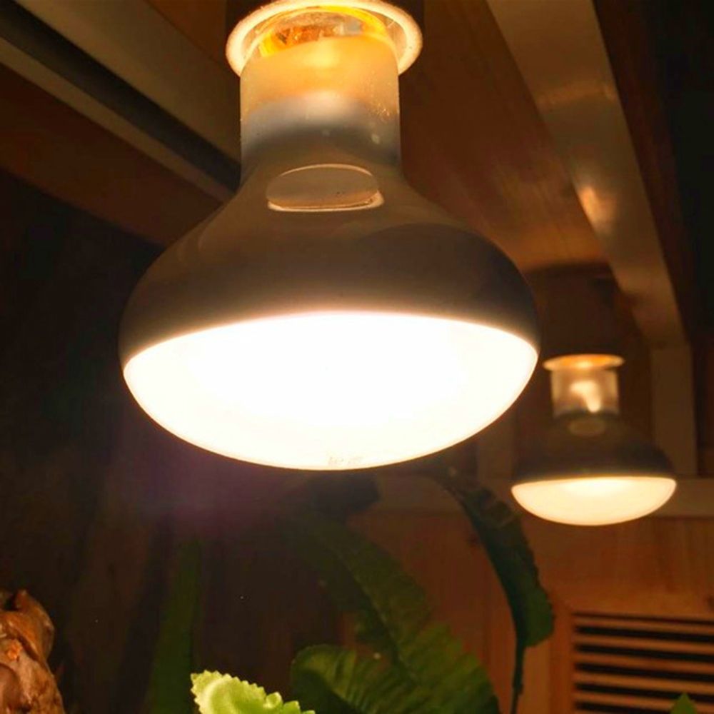 Turtle Heater Temperature Cont - Basking Bulb Halogen ulasan dan harga