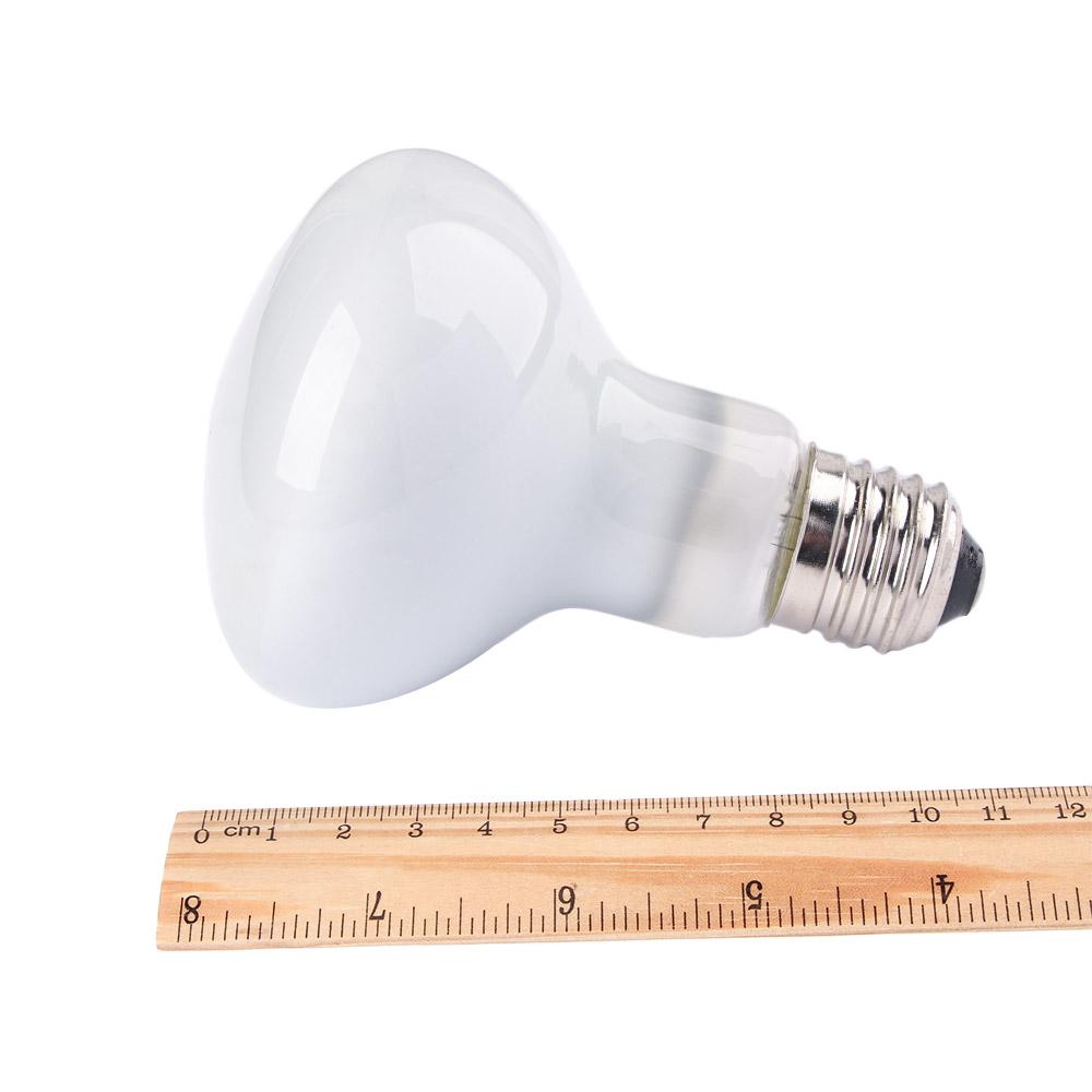 Turtle Heater Temperature Cont - Basking Bulb Halogen ulasan dan harga