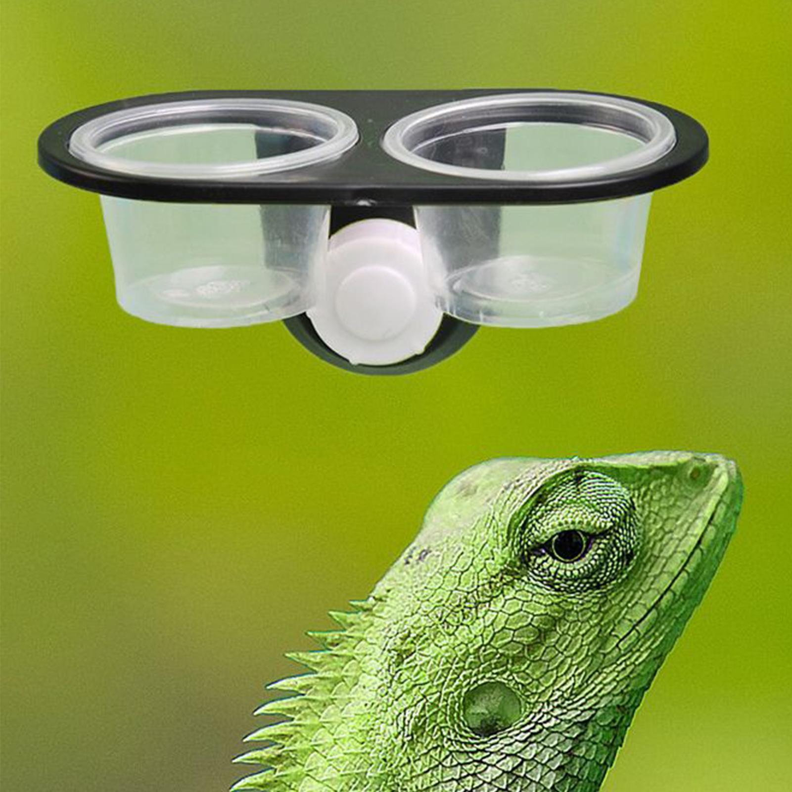 Gecko Food Dish Gecko Feeding  - Water Dish Reptile ulasan dan harga