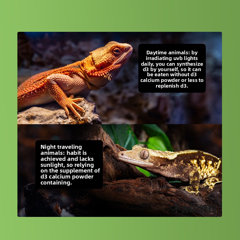 Reptizoo Reptile Calcium Powde - Vitamin D3 Reptile ulasan dan harga