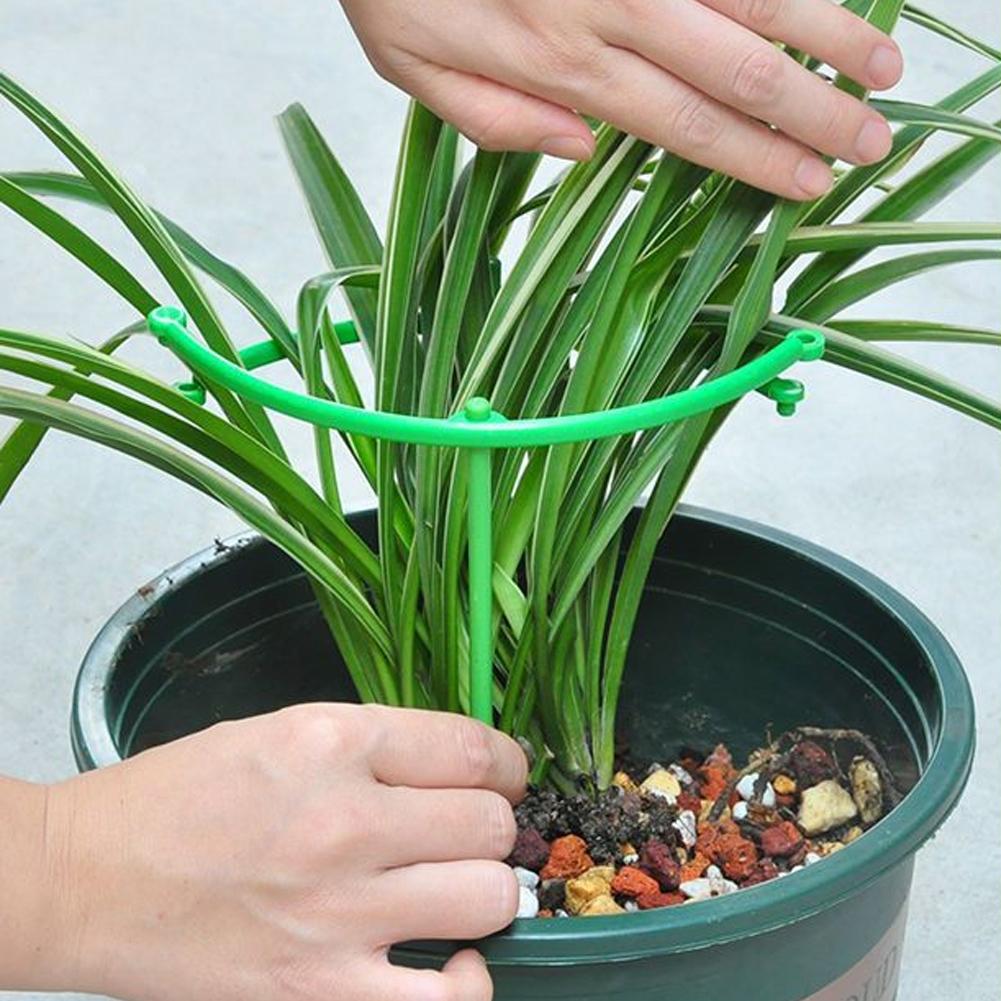 Adjustable Green Checkered Gar - Vine Climbing Plastic ulasan dan harga