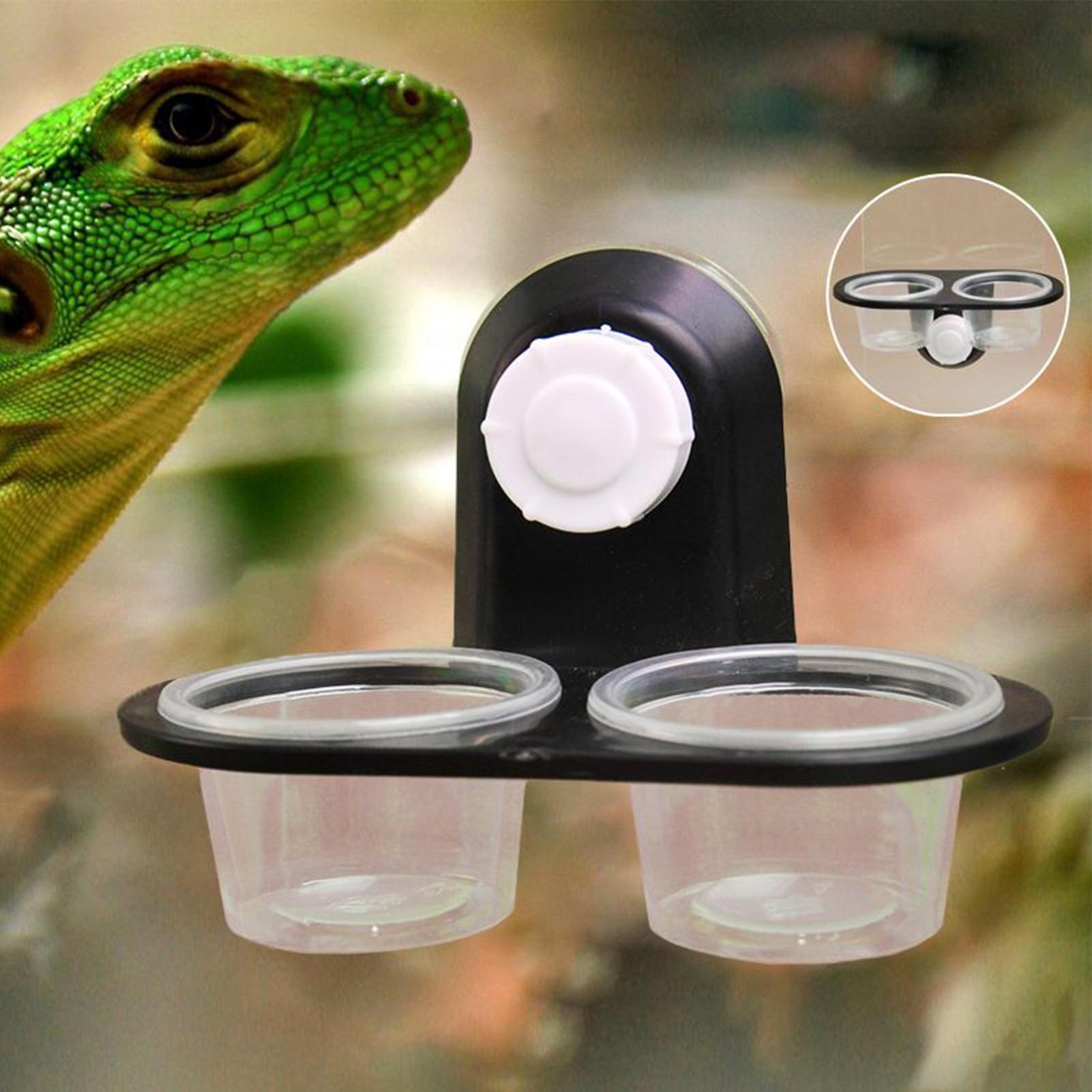 Gecko Feeder Ledge with Detach - Water Dish Reptile ulasan dan harga