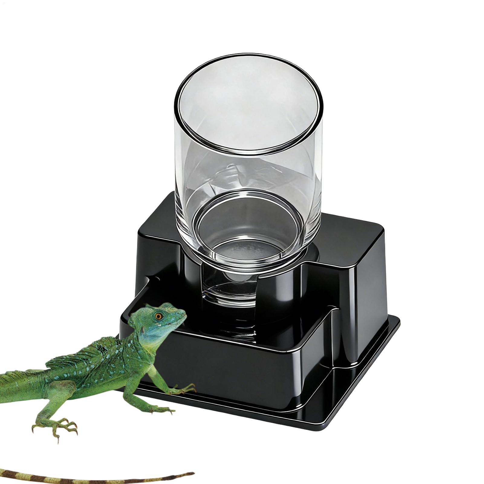 Bearded Dragon Water Fountain  - Water Dish Reptile ulasan dan harga