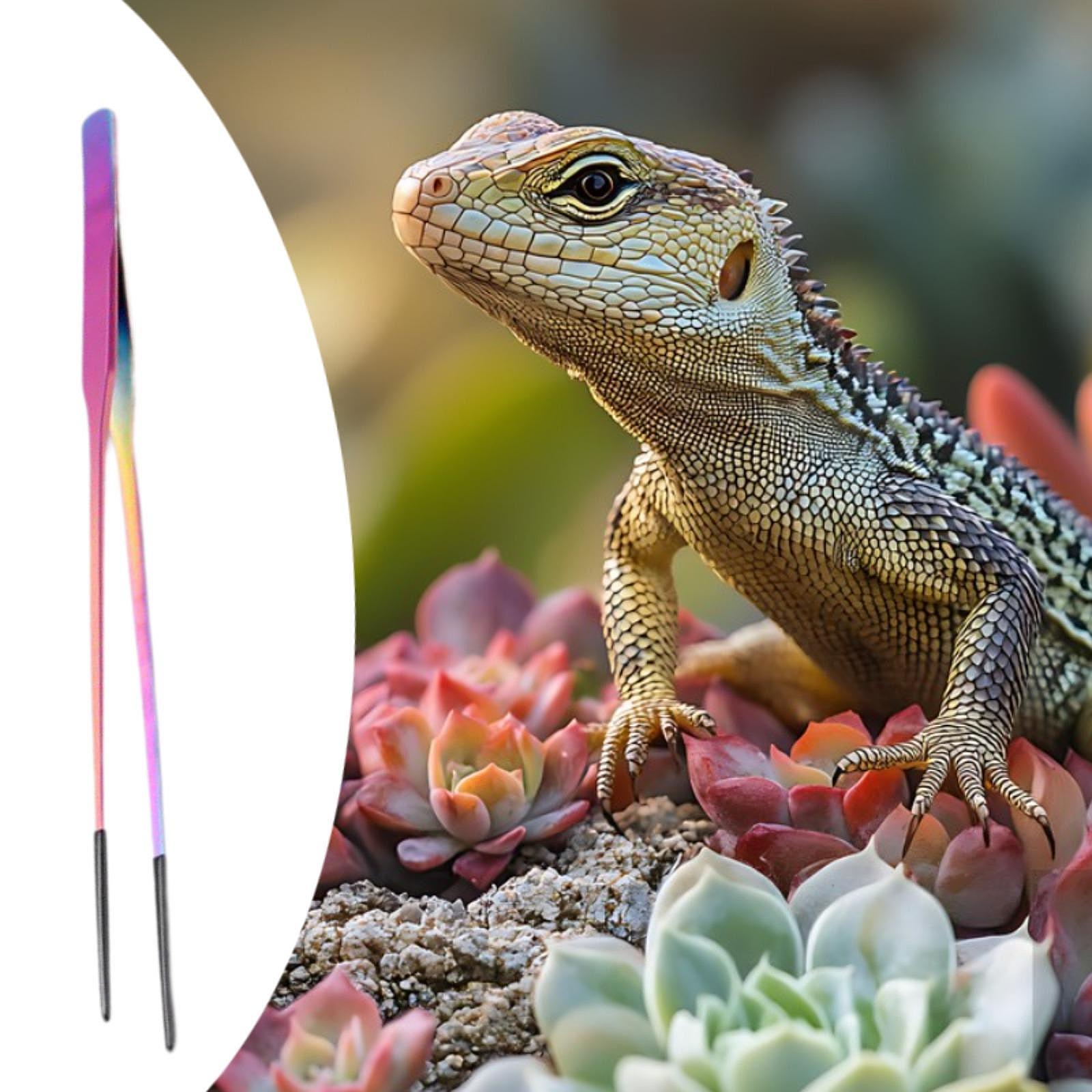 Small Pet Supplies Reptile Fee - Feeding Tong Stainless ulasan dan harga