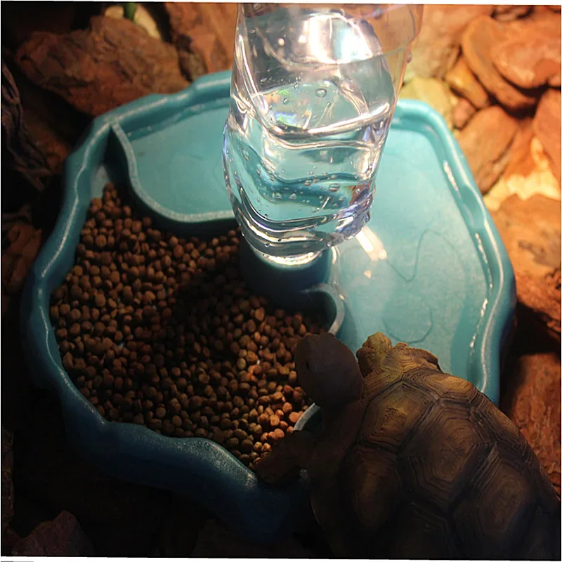 Pet Reptile Feeder 2 in 1 Auto - Water Dish Reptile ulasan dan harga