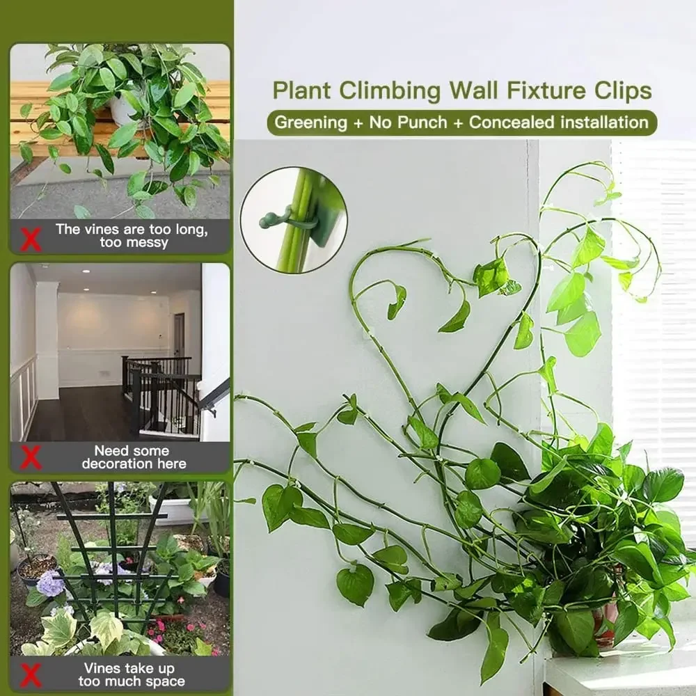 1/30/50Pcs For Garden Accsesor - Vine Climbing Plastic ulasan dan harga