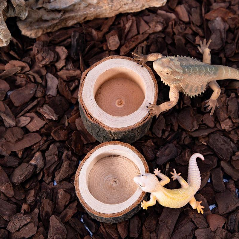 Turtle Water Dish Reptile Feed - Water Dish Reptile ulasan dan harga