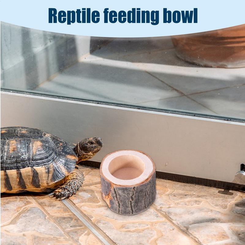 Turtle Water Dish Reptile Feed - Water Dish Reptile ulasan dan harga