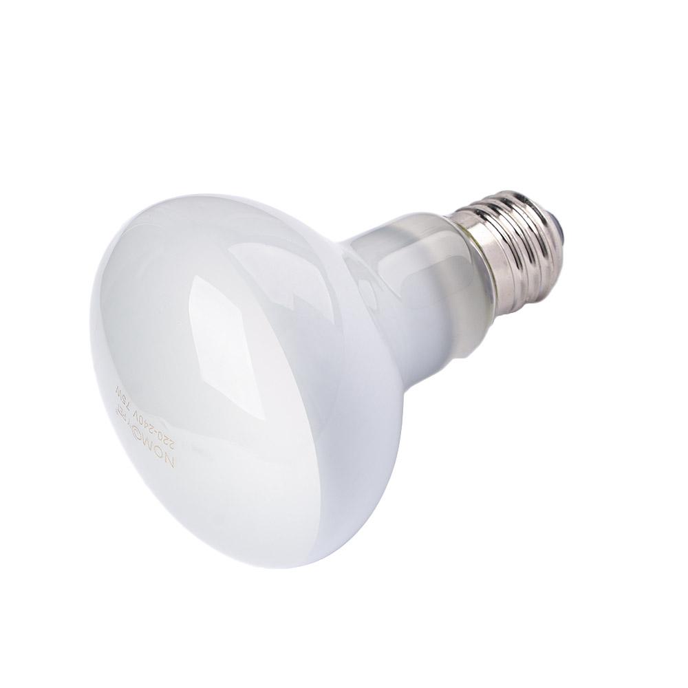 Amphibians Heat Lamp Temperatu - Basking Bulb Halogen ulasan dan harga