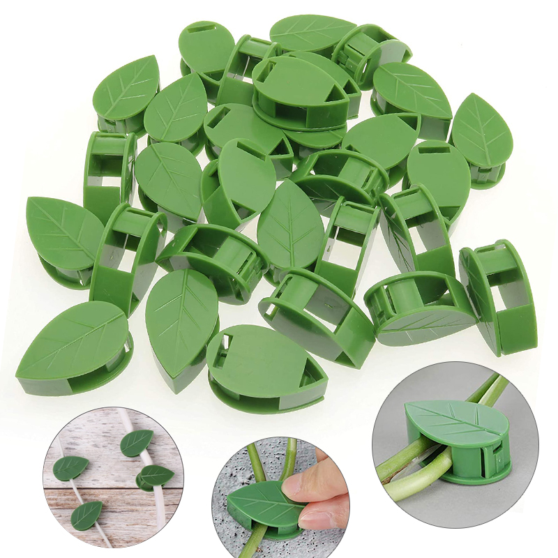 Invisible Plant Climbing Wall  - Vine Climbing Plastic ulasan dan harga