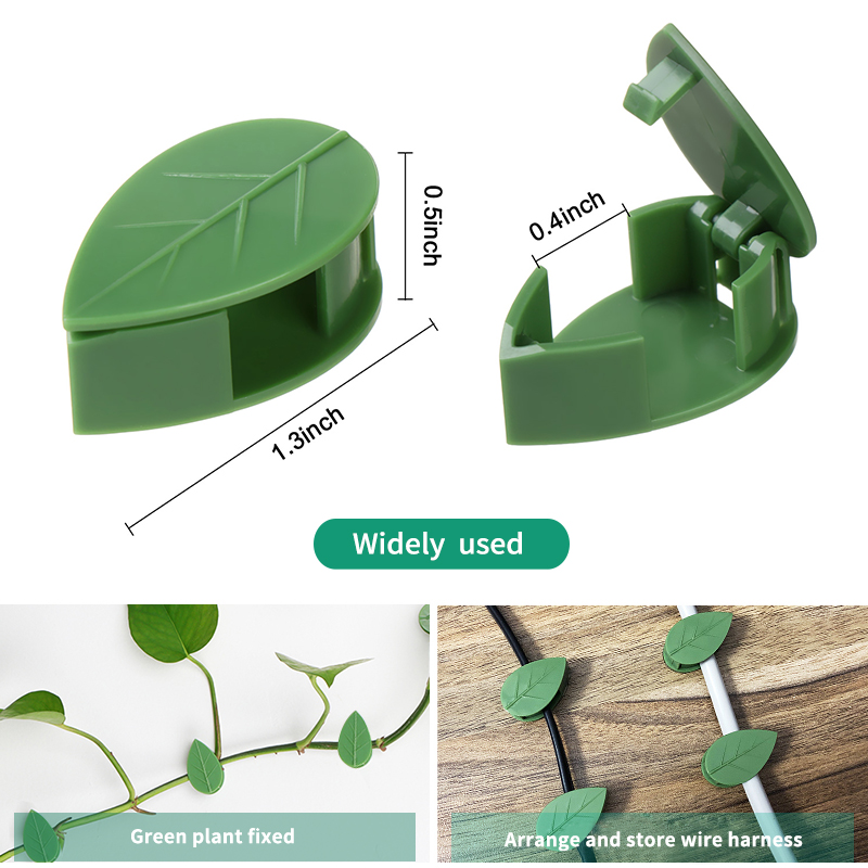 Invisible Plant Climbing Wall  - Vine Climbing Plastic ulasan dan harga