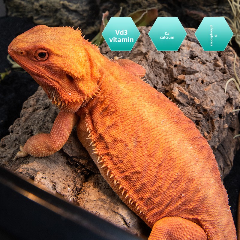 SuperRep Reptile Calcium Pro-V - Vitamin D3 Reptile ulasan dan harga