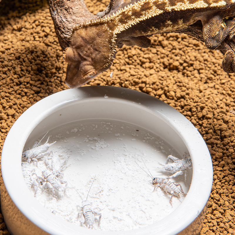SuperRep Reptile Calcium Pro-V - Vitamin D3 Reptile ulasan dan harga