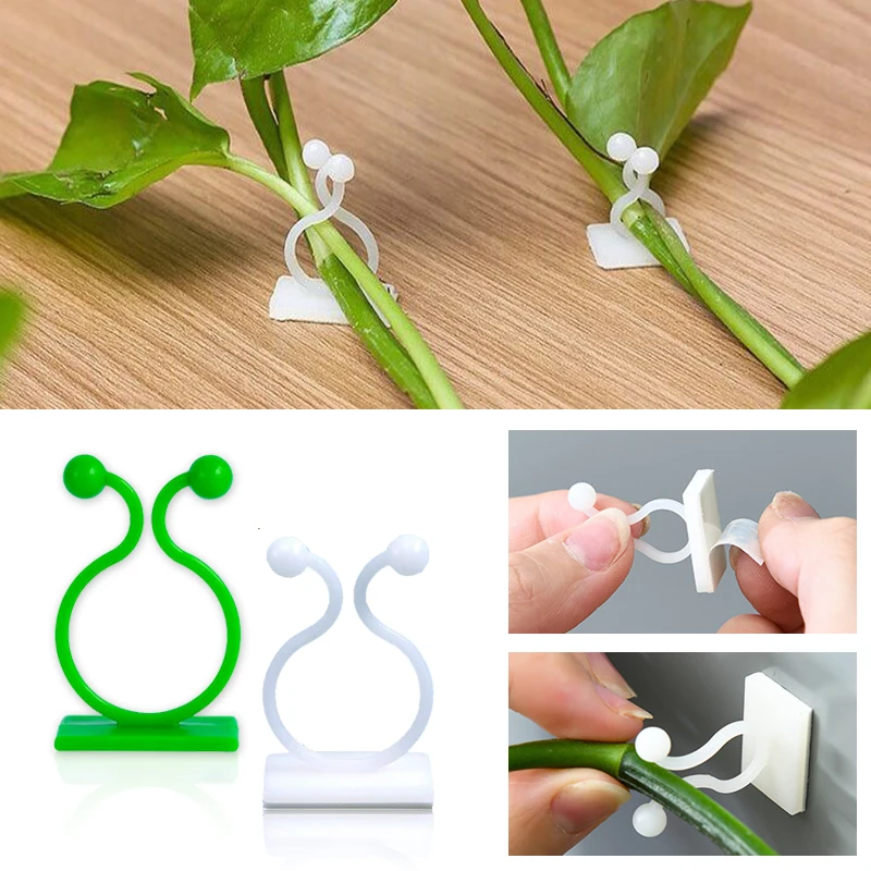Plant Climbing Wall Self-Adhes - Vine Climbing Plastic ulasan dan harga
