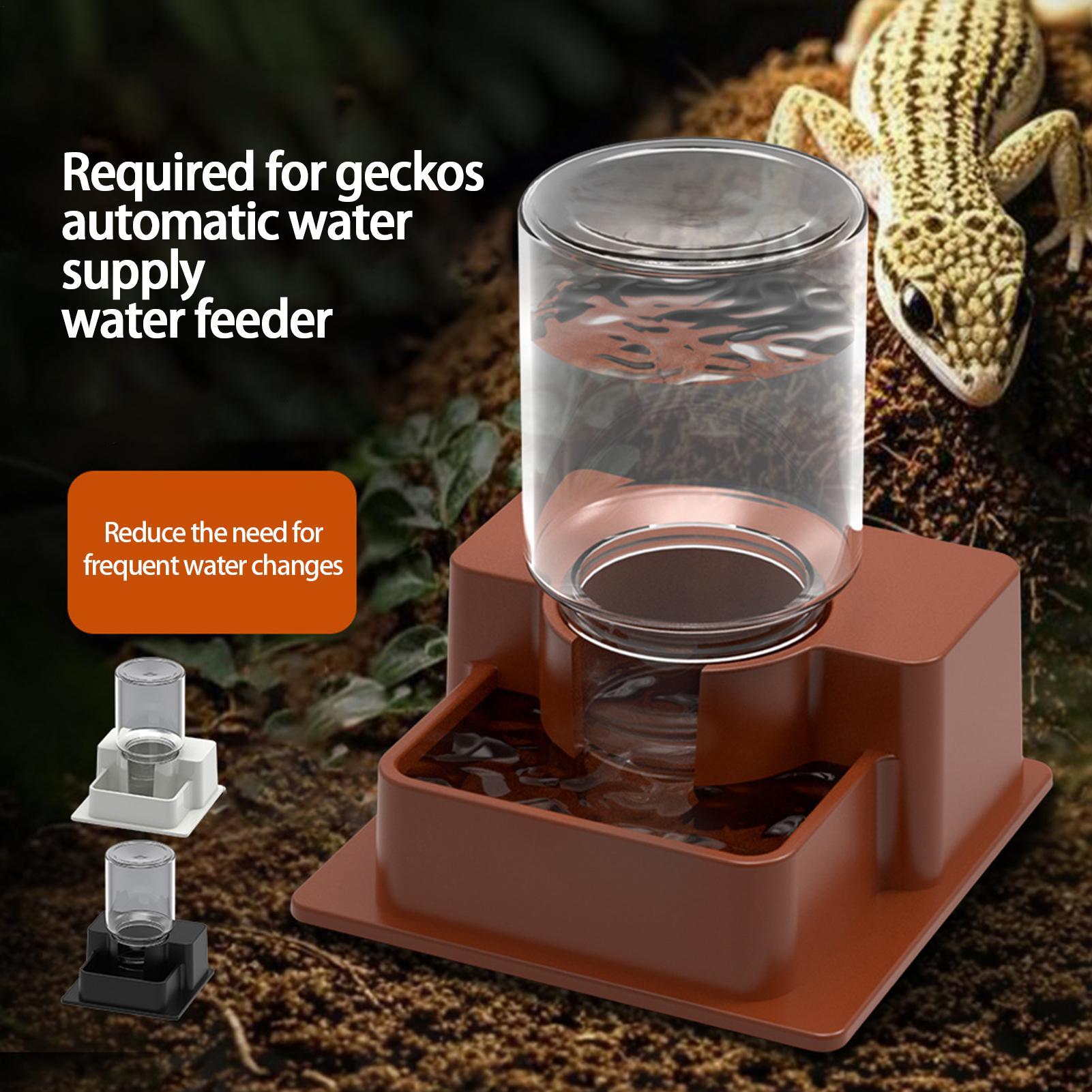 1pc Automatic Reptile Feeder A - Water Dish Reptile ulasan dan harga