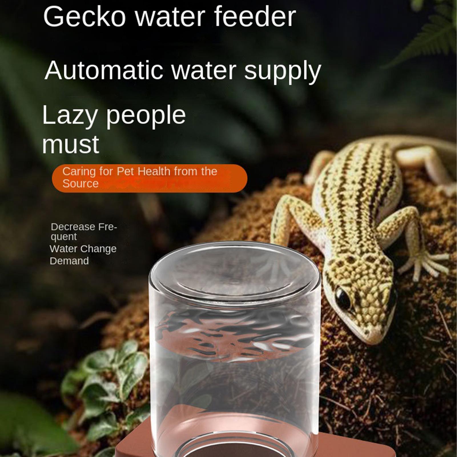 1pc Automatic Reptile Feeder A - Water Dish Reptile ulasan dan harga